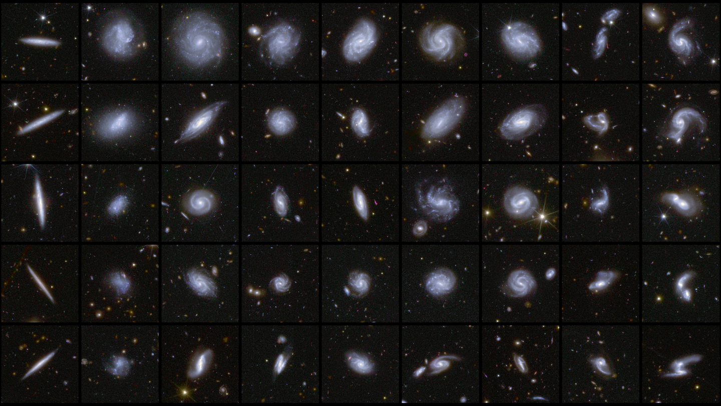 Galaxies in different shapes captured by ESA’s Euclid mission