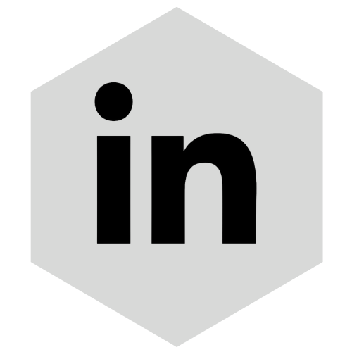 LinkedIn icon