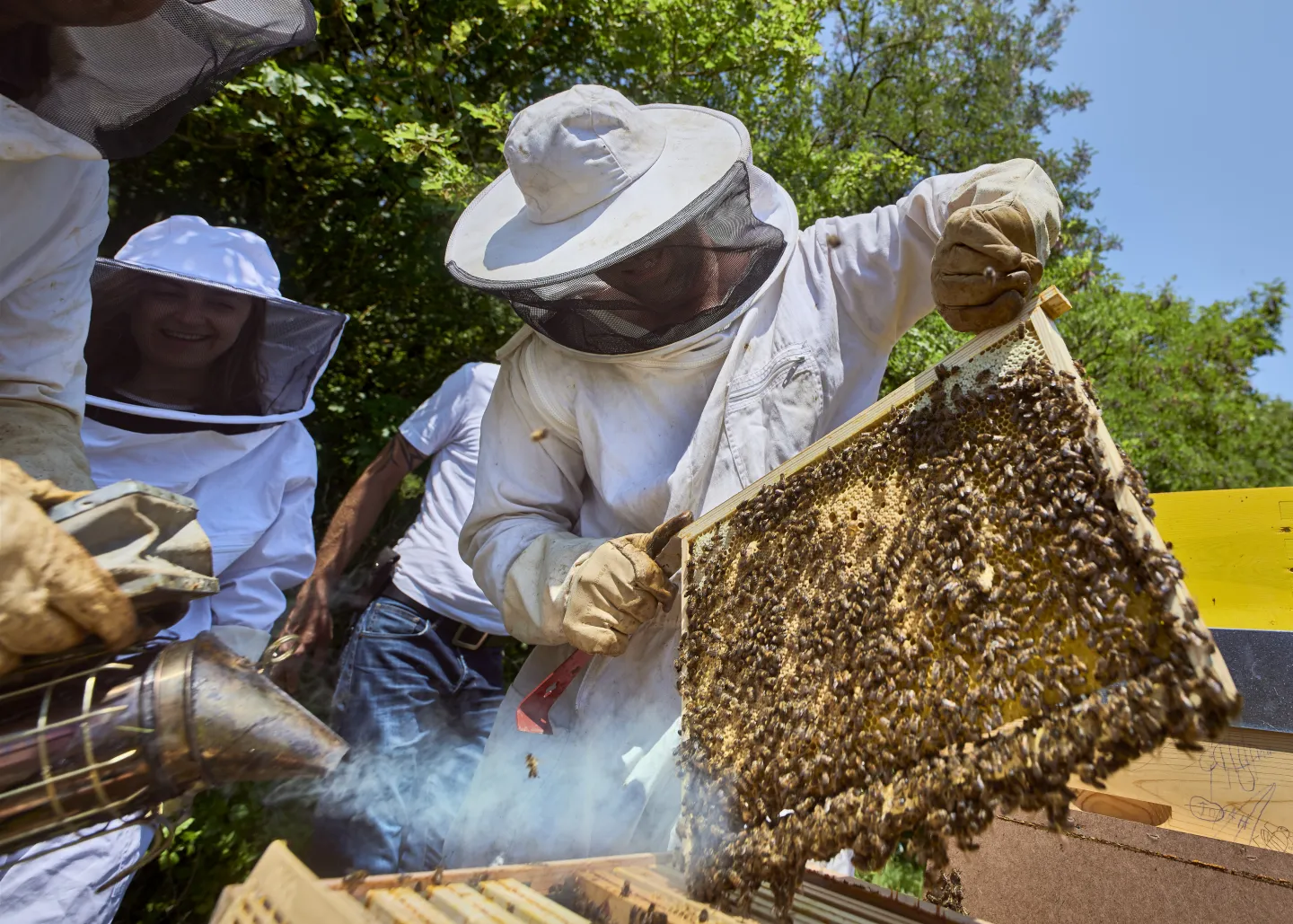 The “Nature et Abeilles” club.