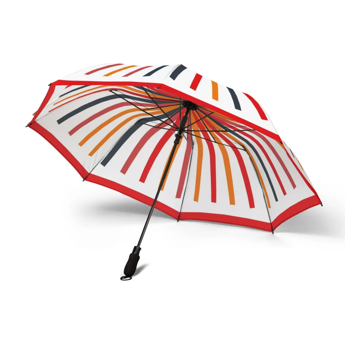 ALICE experiment umbrella