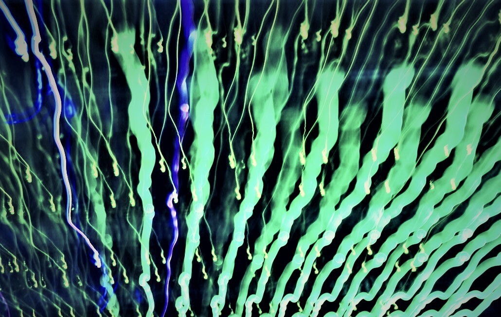 CERN unveils quantum research programme