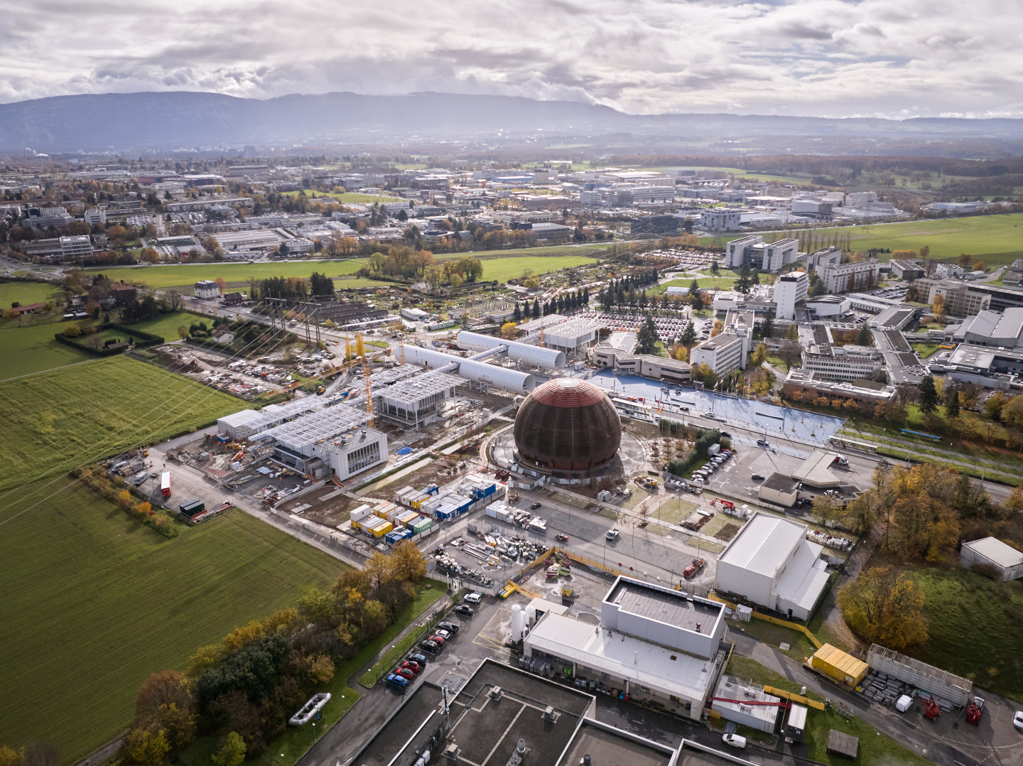 Science Gateway: the first trees for the forest have arrived