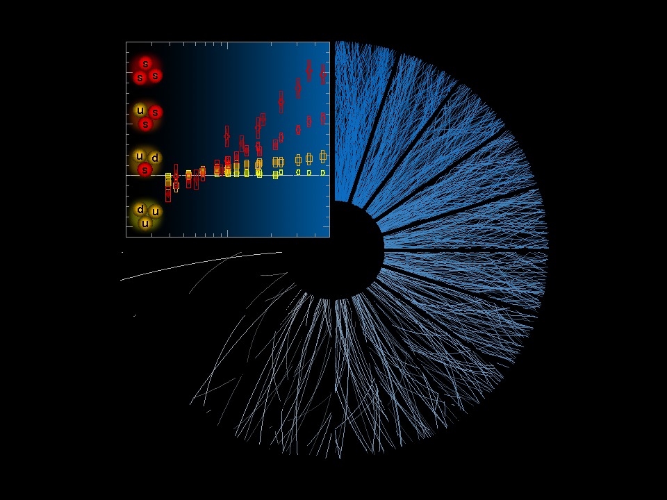 New ALICE experiment results show novel phenomena in proton collisions