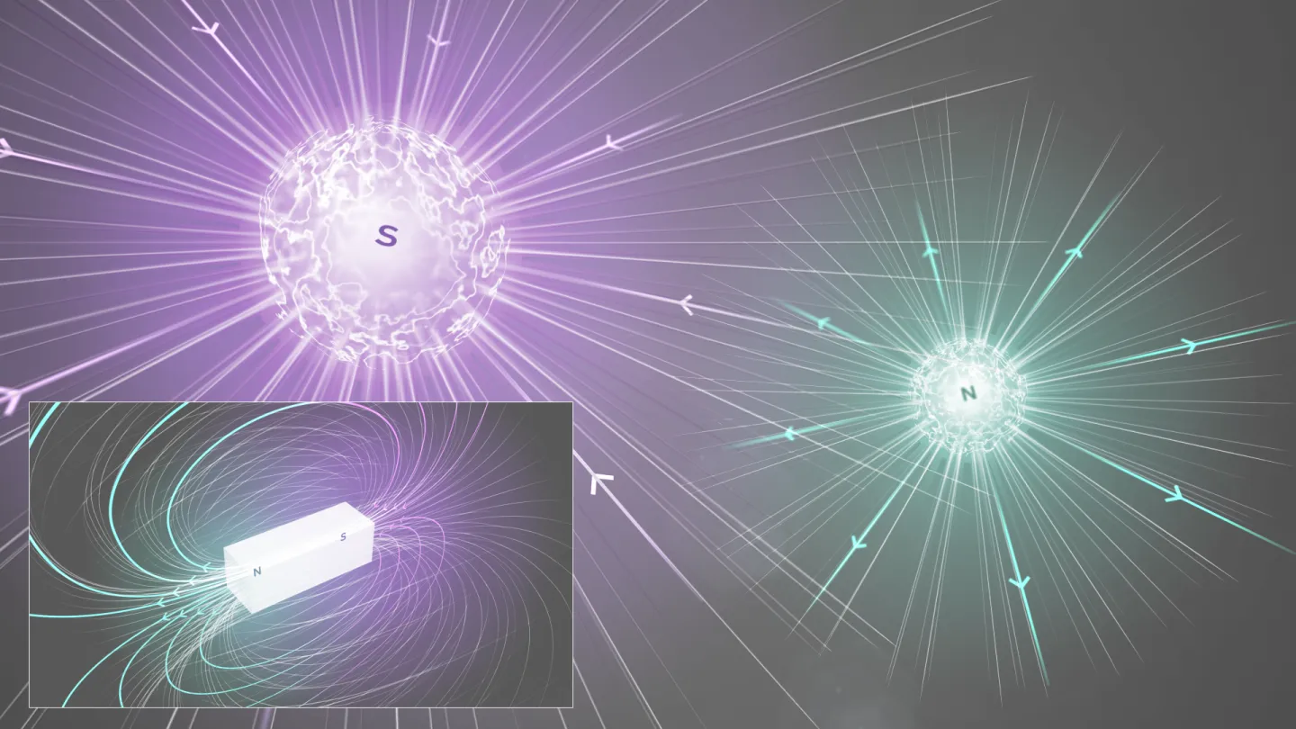 Quest for the curious magnetic monopole continues