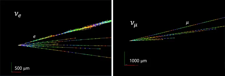 2 event displays of candidates for electronic neutrino and muonic neutrino