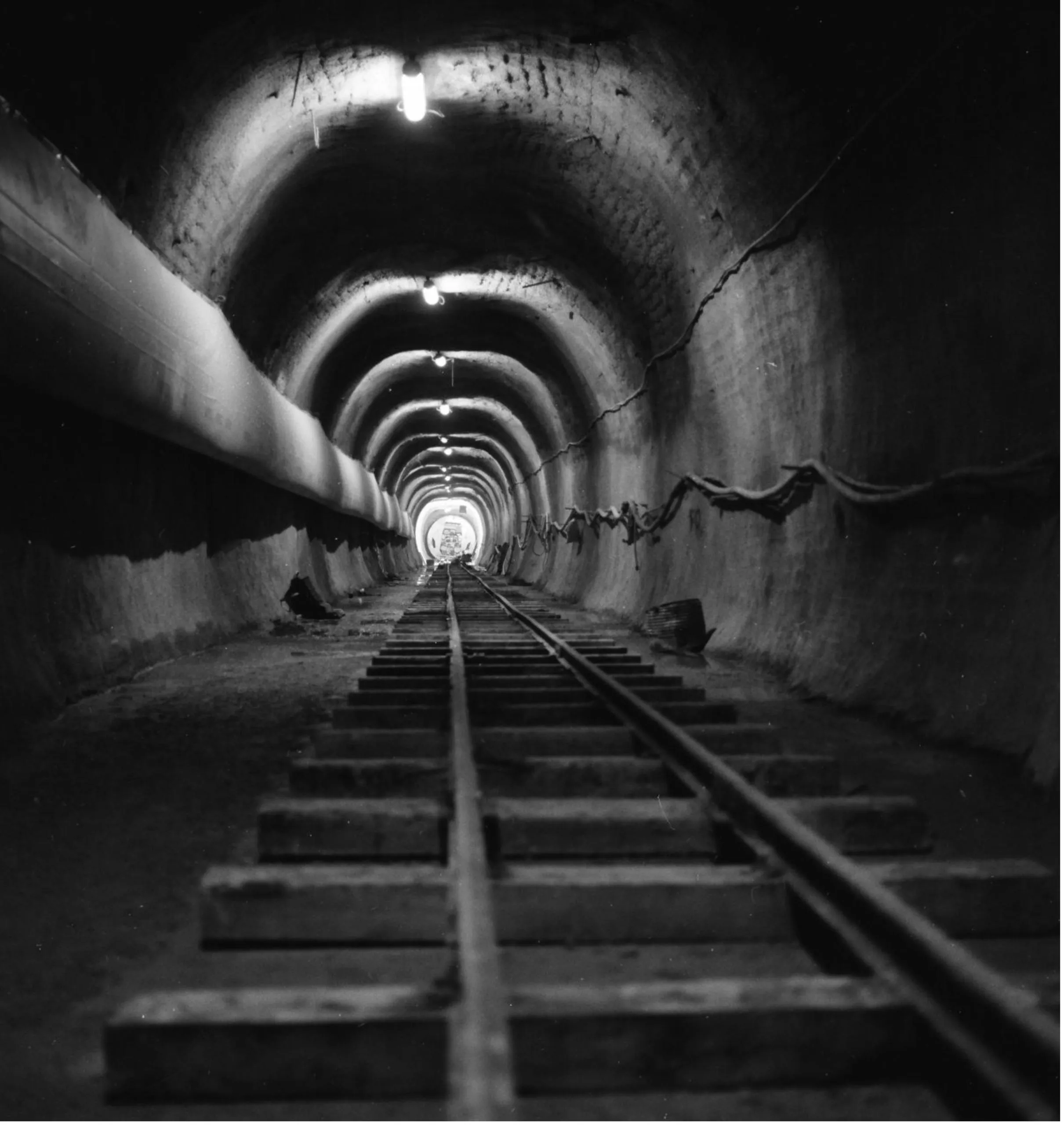 LHC tunnel named as one of the 50 most iconic tunnels in the world