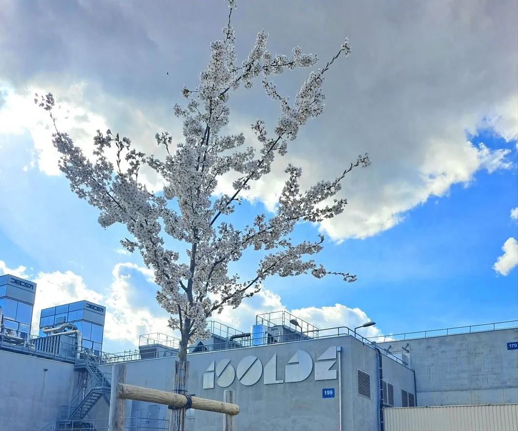 Spring at CERN, your photos
