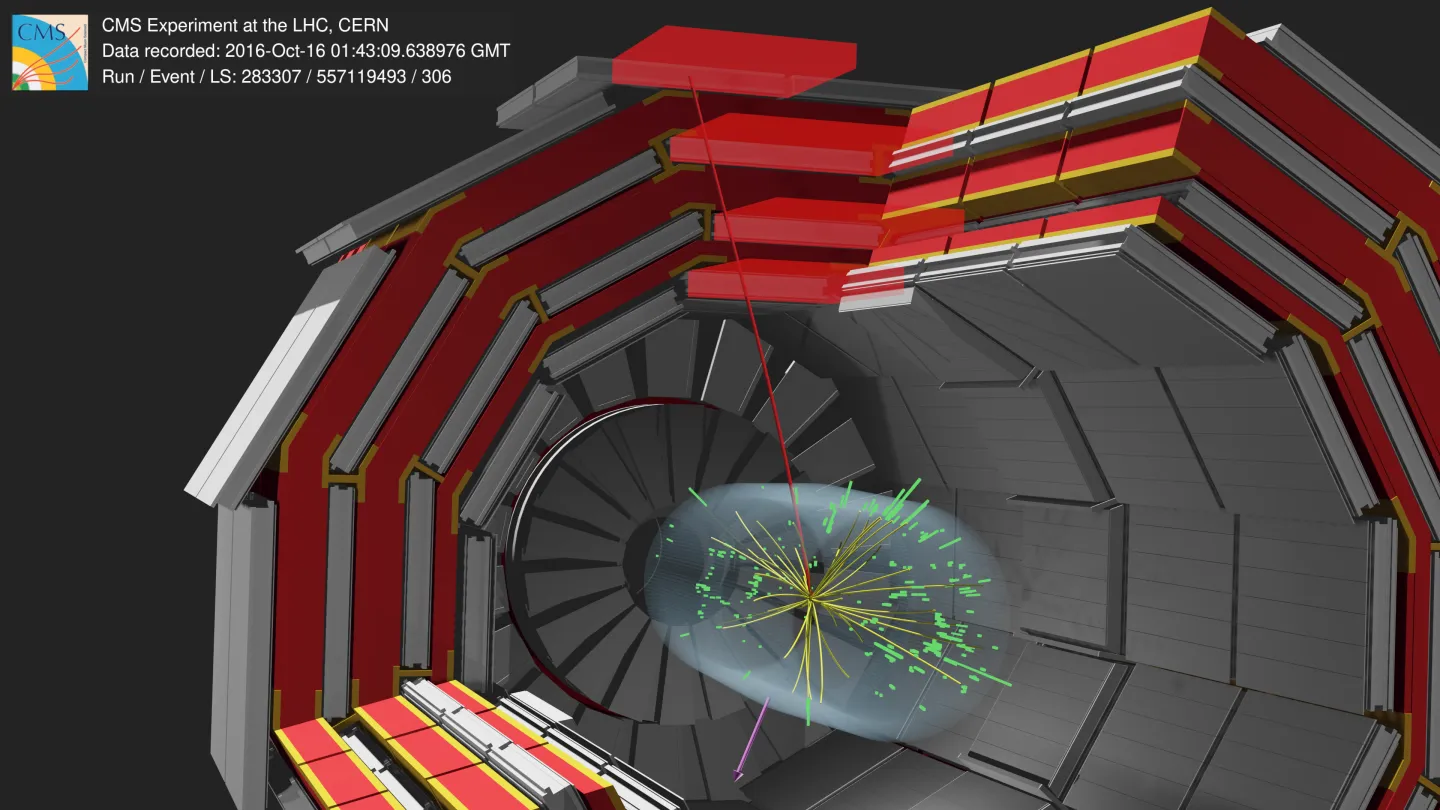 CMS experiment at CERN weighs in on the W boson mass