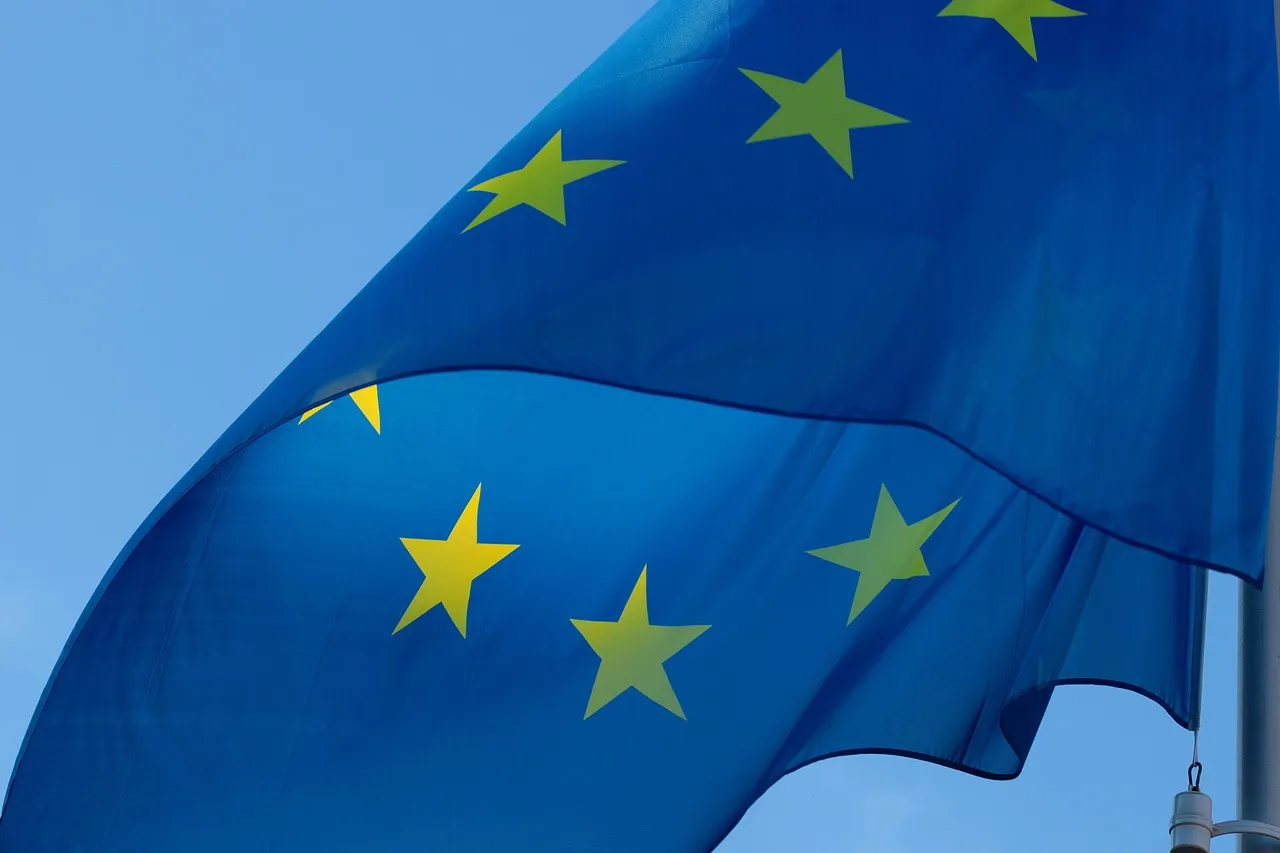 How can I use CERN’s EU projects office?