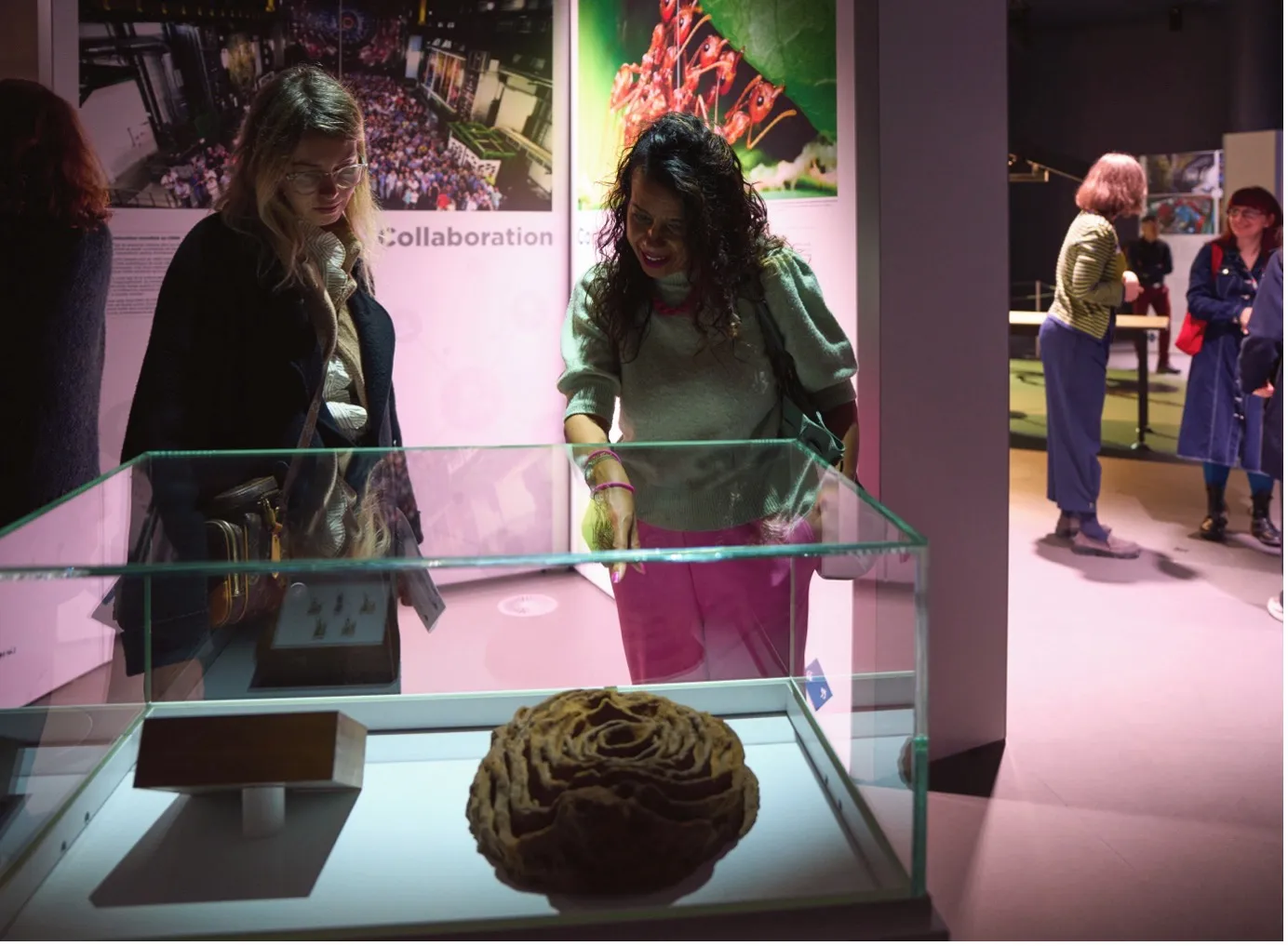 Dialogues insolites : le Muséum rencontre le CERN
