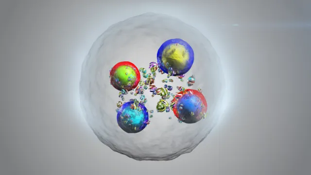 Deciphering the heavyweights of the tetraquark world