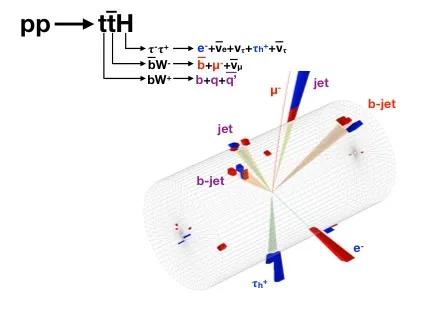 The Higgs boson reveals its affinity for the top quark