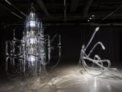Une exposition retrace trois années de collaboration entre art et science