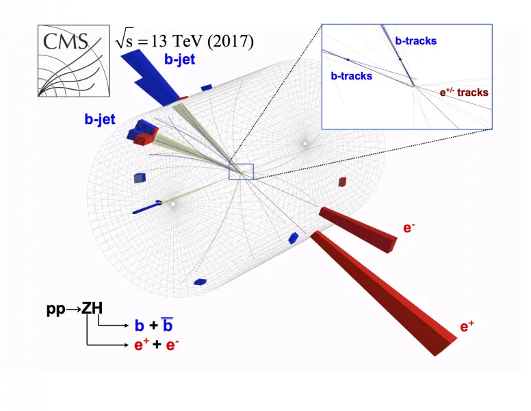 Long-sought decay of Higgs boson observed