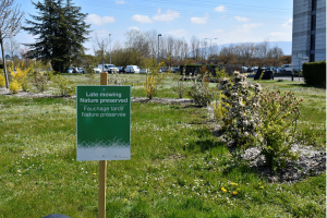 Explore CERN’s biodiversity: new orchid and late-mowing panels installed