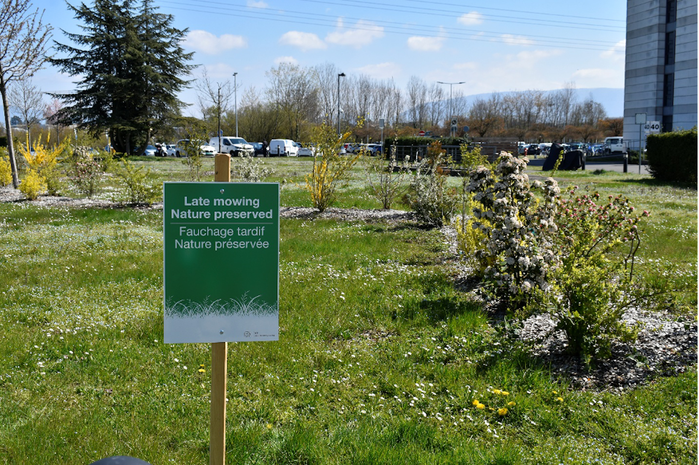 Explore CERN’s biodiversity: new orchid and late-mowing panels installed