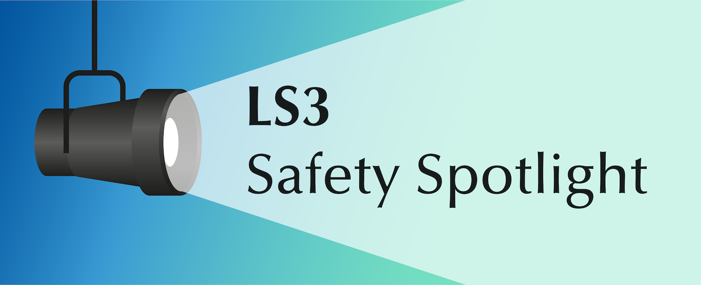LS3 Safety Spotlight: be road safe